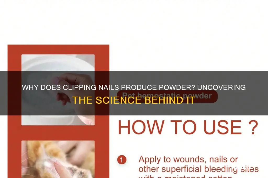 when i clip my nails theres powder