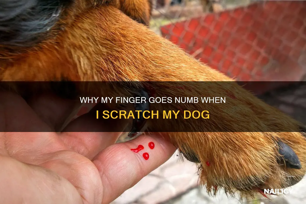 when i scratch my dog my finger nail is numb