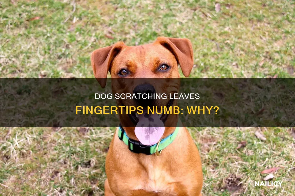when i scratch my dog my finger nail is numb