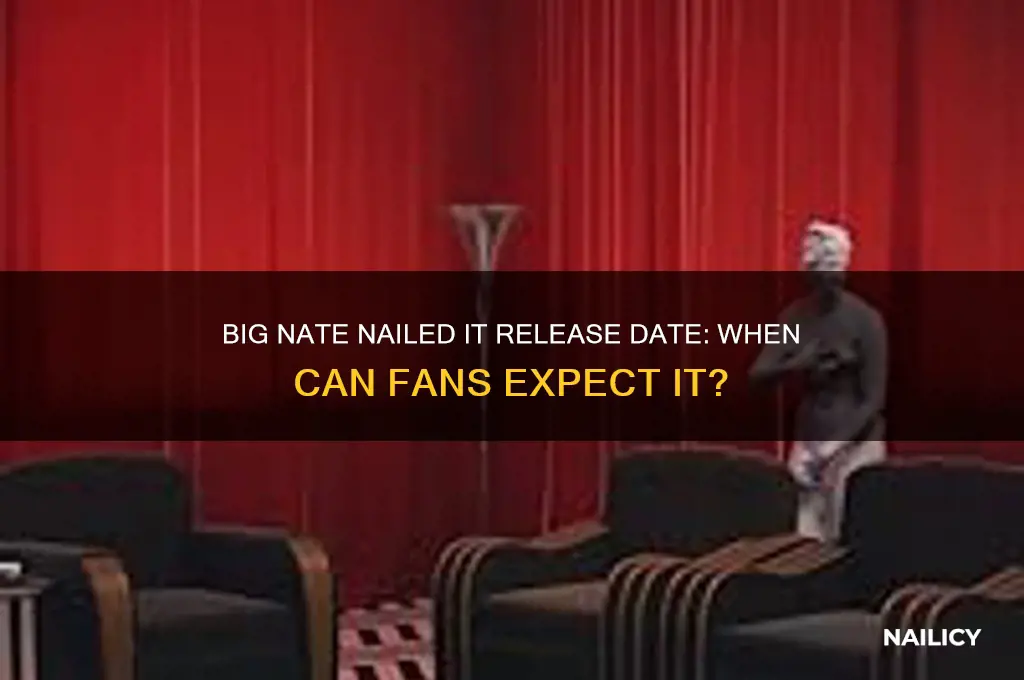 when is big nate nailed it coming out