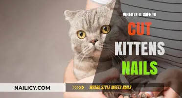 Cutting Kittens' Nails: What You Need to Know