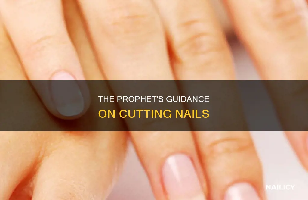 when is it sunnah to cut nails
