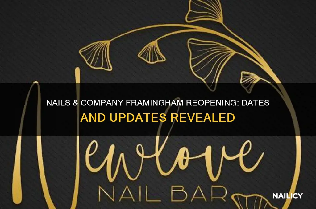 when is nails and company reopening in framingham