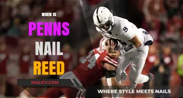 Understanding Penn's Nail Reed: Timing, Uses, and Historical Significance