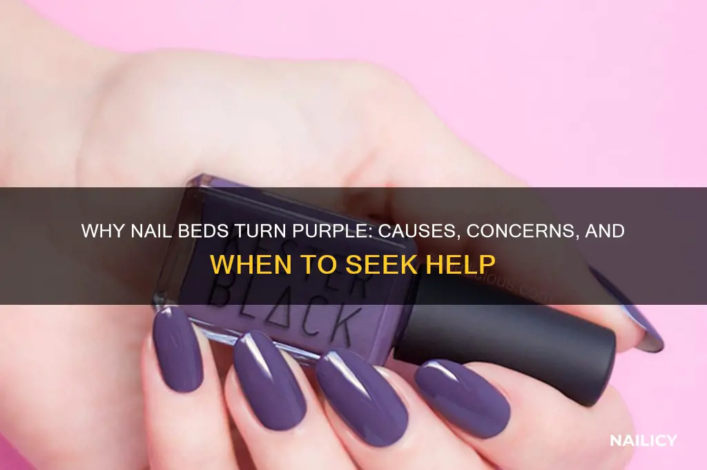 when nail beds turn purple