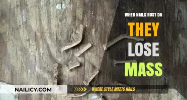 Rusting Nails: Do They Lose Mass When Oxidized?