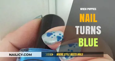 Why Do Puppies' Nails Turn Blue? Causes and Solutions Explained