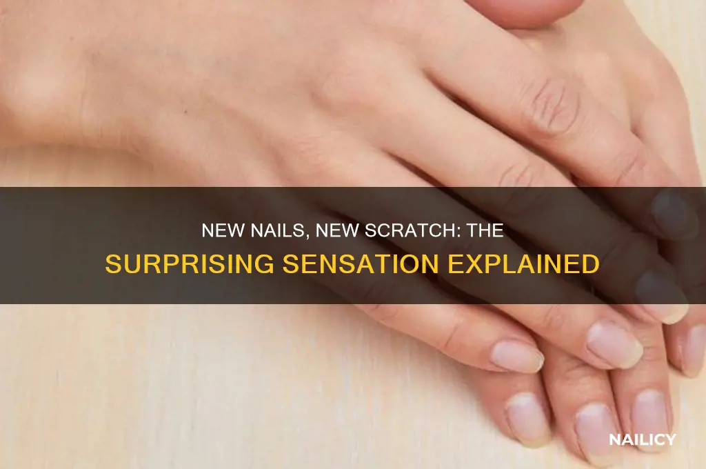 when scratch you back with new nails