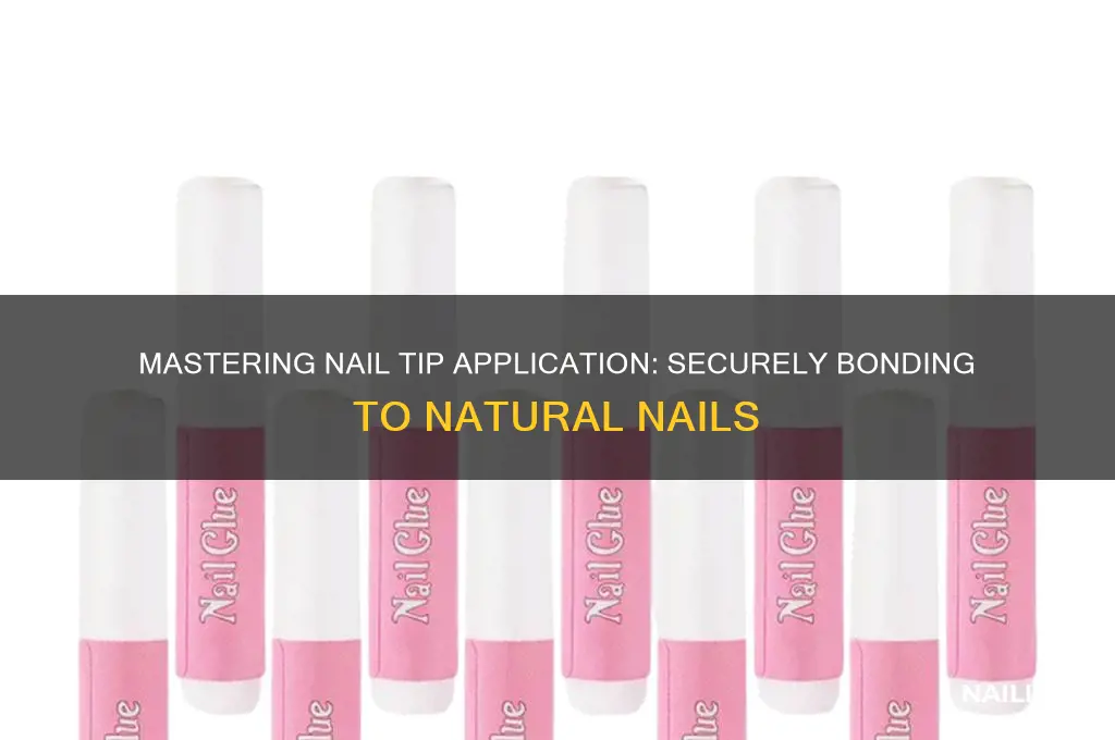 when securing the tip to the natural nail