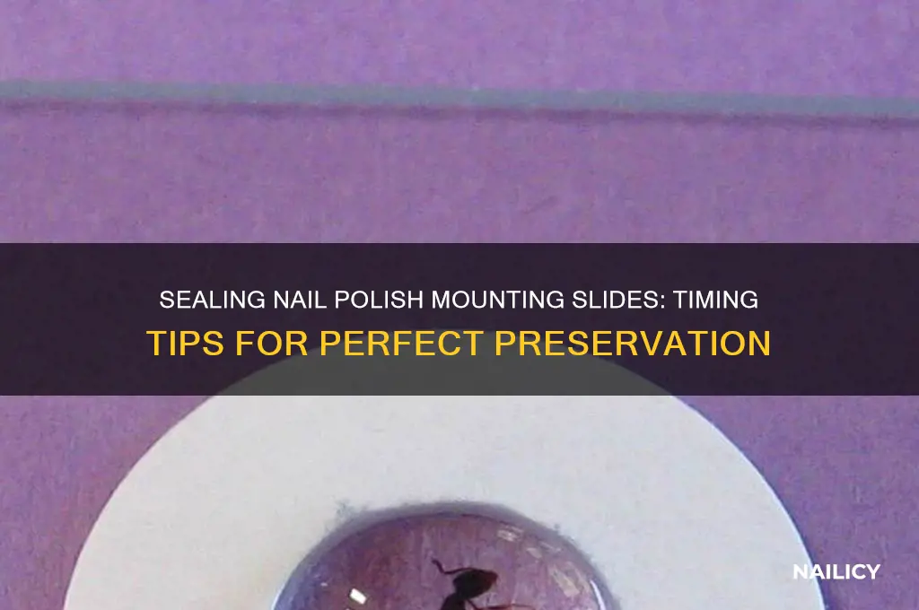 when should i seal with nail polish mounting slides