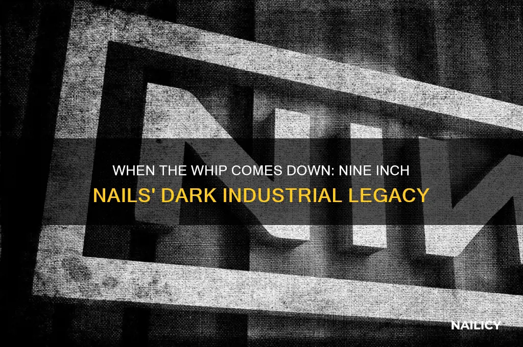 when the whip comes down nine inch nails