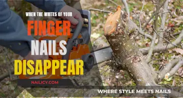 What the Disappearance of Nail Moons Could Mean