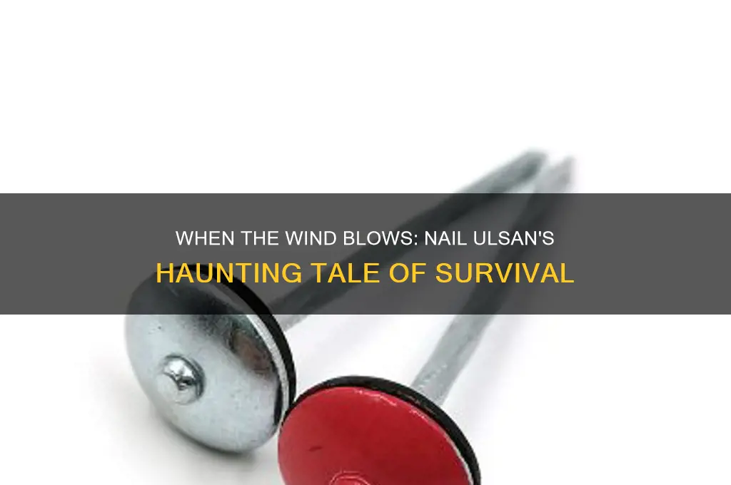 when the wind blows by nail ulsan