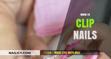 Perfect Timing for Nail Clipping: When and How to Trim Safely