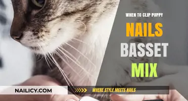 When to Clip Puppy Nails: A Basset Mix Guide