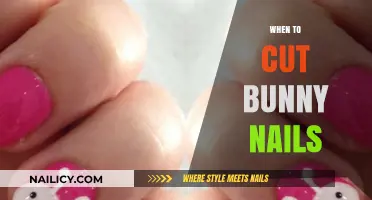 Bunny Nail Care: When to Trim Your Rabbit's Nails