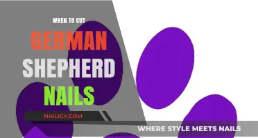 German Shepherd Nails: How Often to Trim?