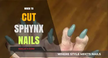 Sphynx Cats: Trimming Nails, a Timely Affair