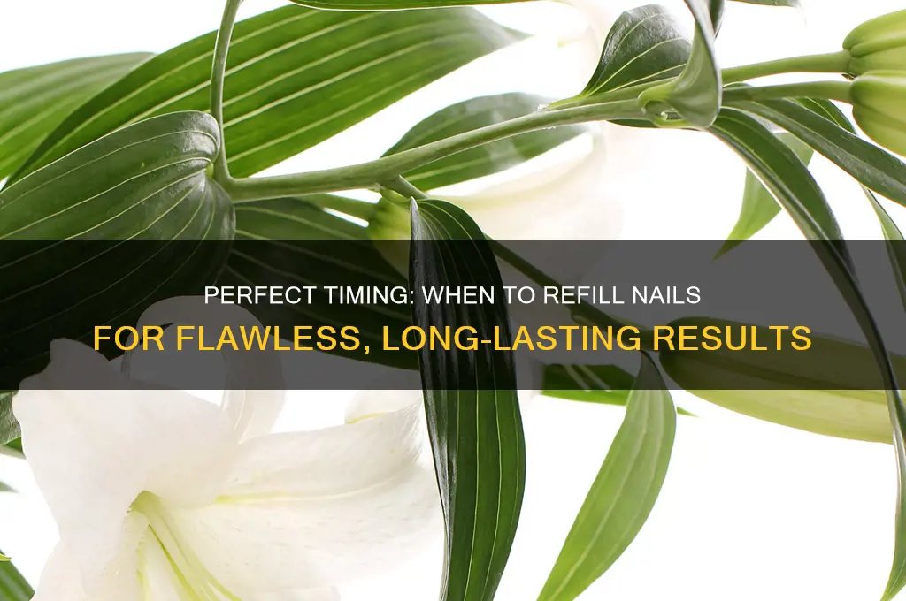 when to refill nails