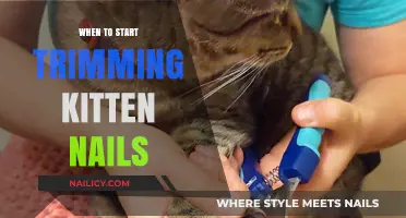 Trimming Kitten Nails: When to Start Grooming?