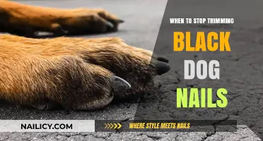 Trimming Black Dog Nails: When to Stop?