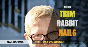 Trimming Rabbit Nails: How Often?