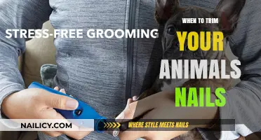 Trimming Your Pet's Nails: How Often?