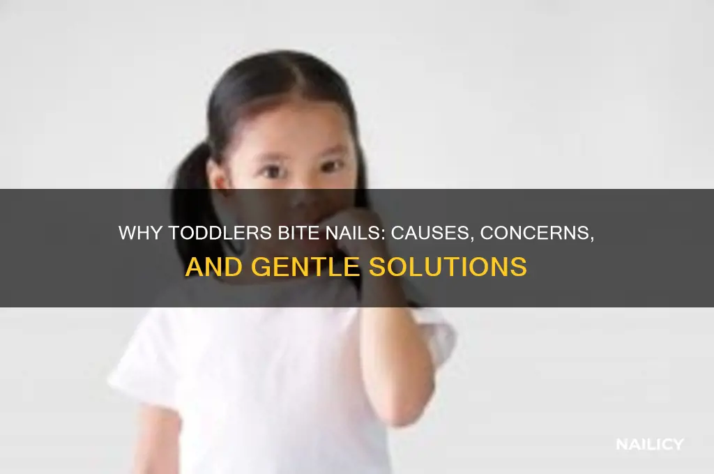 when toddlers bite their nails
