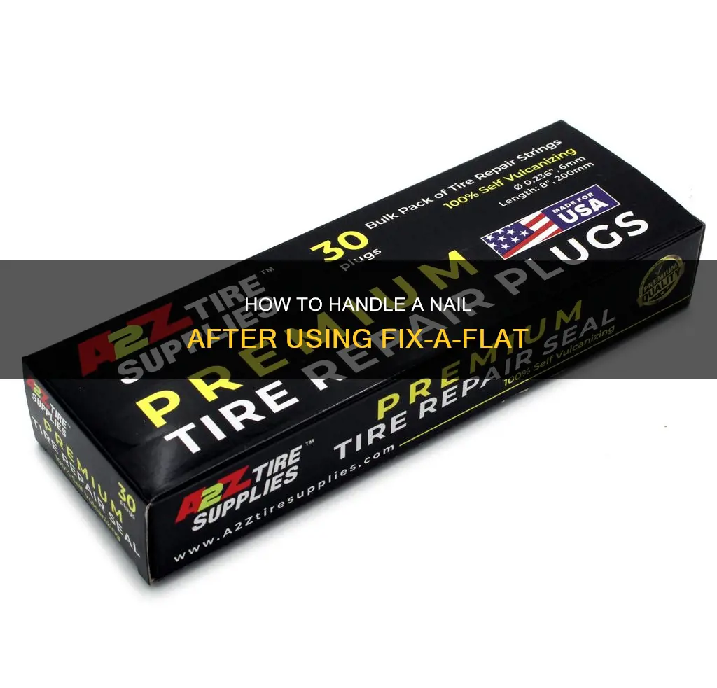 when using fix a flat do you remove the nail