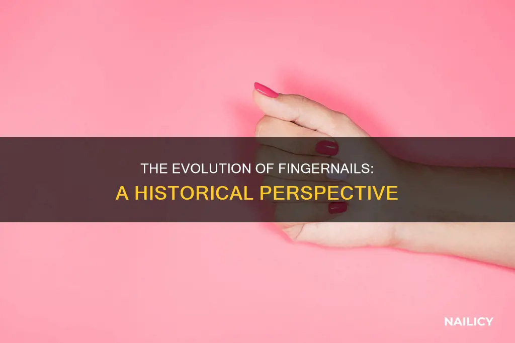 when was finger nails invented