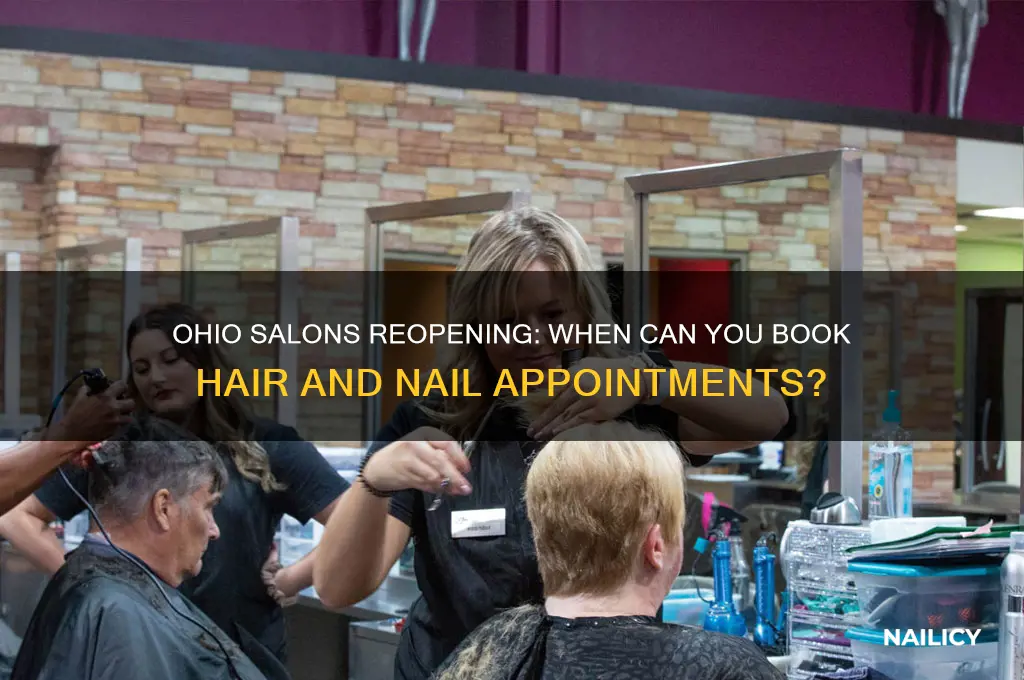 when will hair and nail salons reopen in ohio