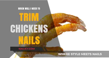Trimming Chickens' Nails: When and Why You Should Do It