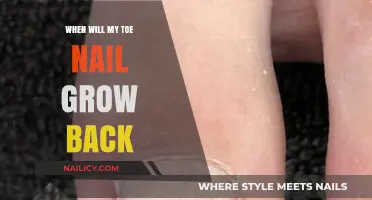 Toe Nail Trauma: Regrowth Timeline and Tips