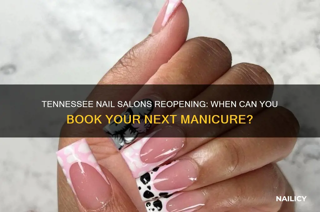 when will nail salons reopen in tennessee