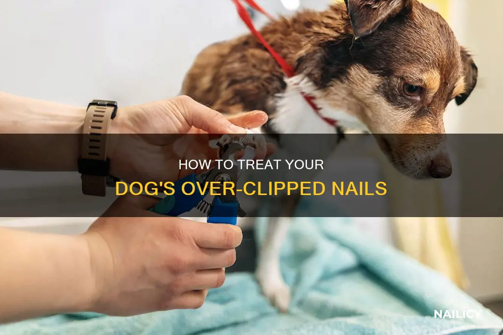 when you cut a dogs nail too short