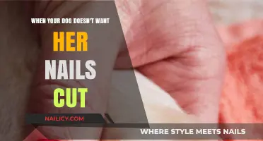 Clipping Nails: When Your Dog Refuses to Cooperate