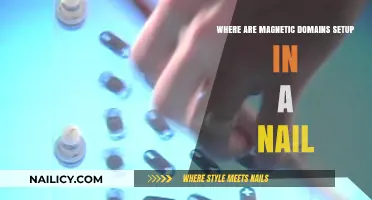 Exploring Magnetic Domains: Where and How They Form in a Nail