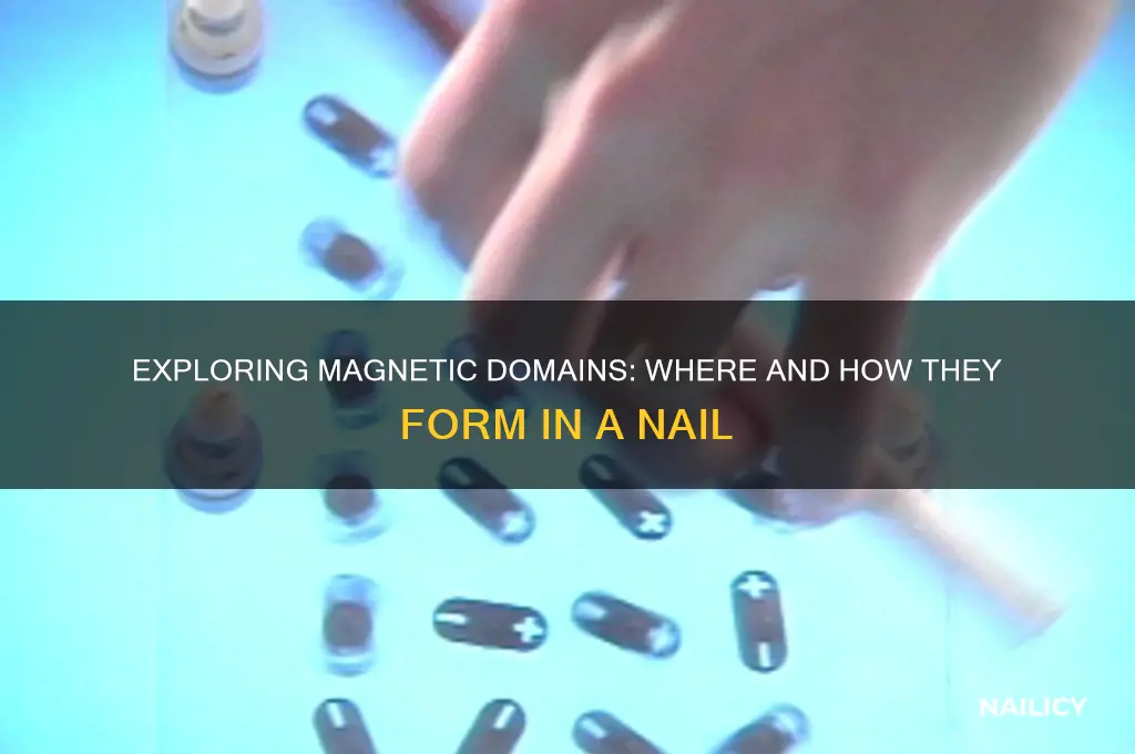 where are magnetic domains setup in a nail