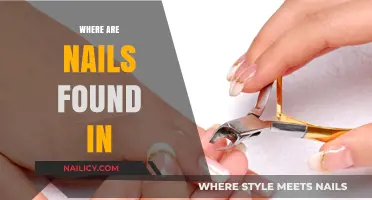 Where Are Nails Found In: Exploring Their Locations and Uses