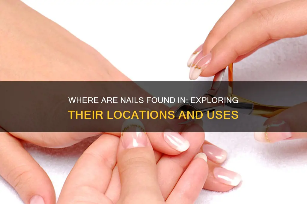 where are nails found in