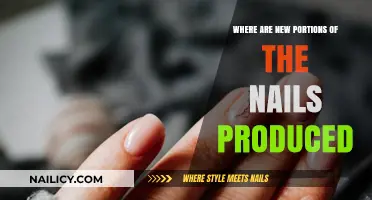 Where Nail Growth Begins: The Hidden Origin of New Nail Portions