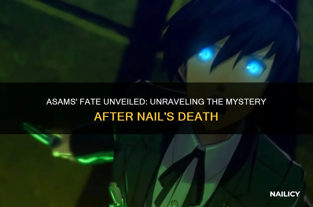 where are the asams after finding nail dead
