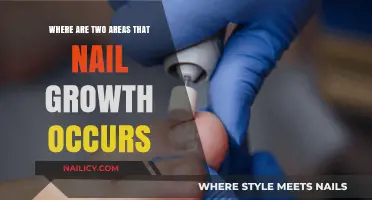 Understanding Nail Growth: Key Areas for Healthy and Strong Nails