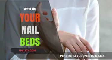 Understanding Nail Beds: Location, Function, and Essential Care Tips