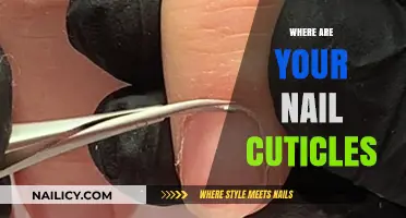Understanding Nail Cuticle Location: A Comprehensive Guide to Healthy Nails