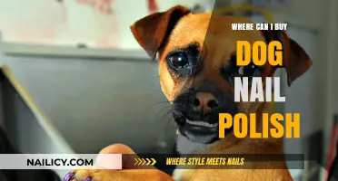 Where to Buy Dog Nail Polish: Top Retailers and Online Stores