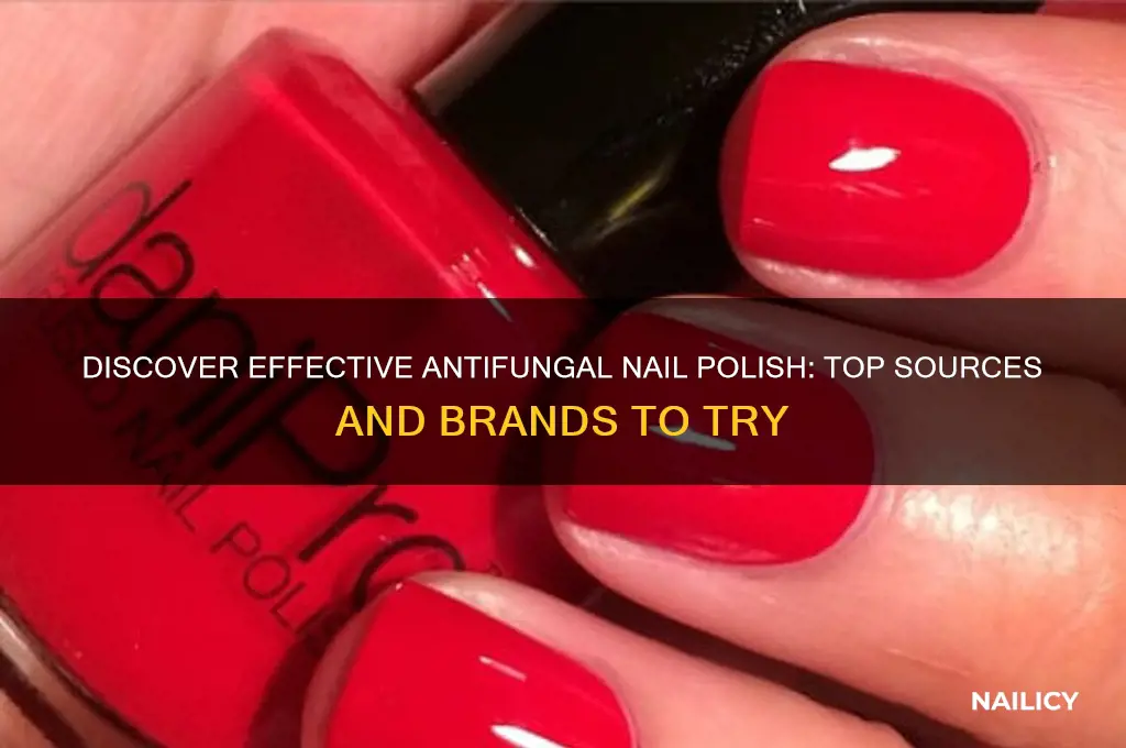 where can i find antifungal nail polish