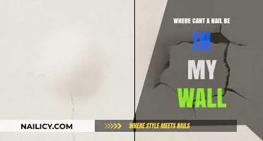 Where Not to Hammer: Avoiding Wall Damage with Nails