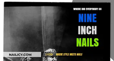 Where Did Everybody Go? Exploring Nine Inch Nails' Disappearance