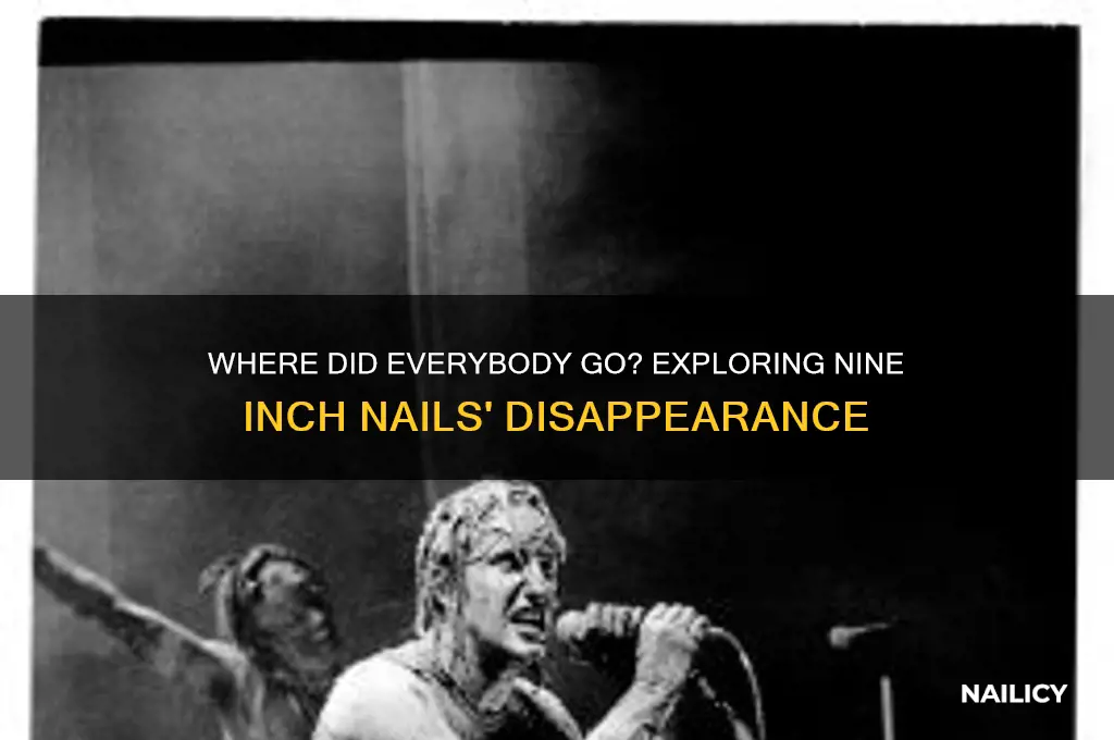 where did everybody go nine inch nails